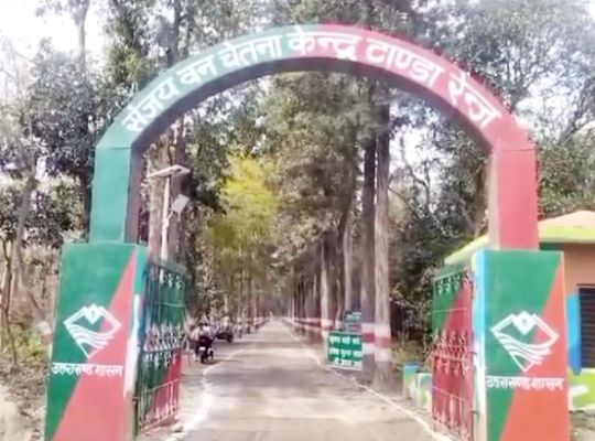 Uttarakhand: Union Minister of State for Defense Bhatt inspected Sanjay Forest! Instructions given to forest department officials