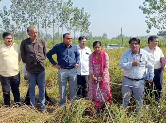 Uttarakhand: DM descends into the fields, harvests paddy, listens to farmers' problems