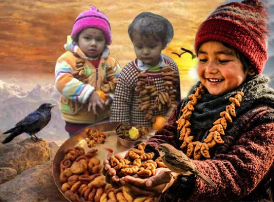 Black crow, black, eat the ghughuti garland! A celebration of faith and folk tradition in Uttarakhand, the ghughuti is celebrated with great fanfare on Makar Sankranti.