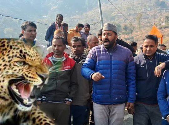  The growing terror of leopards in Uttarakhand: A Nepalese man was mauled in Pauri! Public outrage erupted after the incident, and villagers took to the streets.