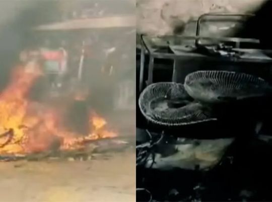 Big news: Violent protests erupt in West Bengal over SIR! Mob rampage in Chakulia, vandalizing and setting fire to the BDO office.