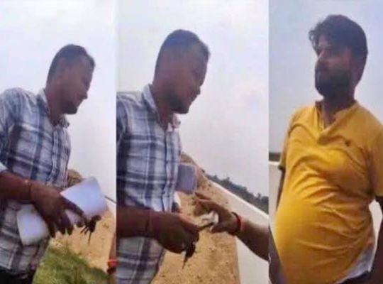 System Put to Shame: Third Installment of Bribe Paid by Selling a Goat; Video of Corrupt Revenue Official in Katihar Goes Viral