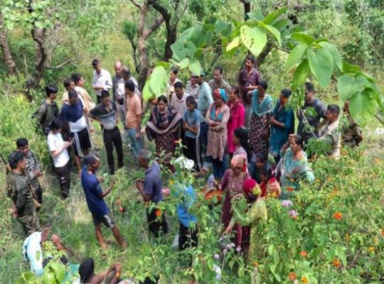 Leopard terror continues unabated in Uttarakhand! Woman mauled to death in Lansdowne; fear grips the entire area.