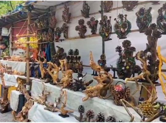 Nainital artisans transforming nature's discarded remnants into art: Handicrafts created through 35 years of dedication are becoming a favorite among tourists.