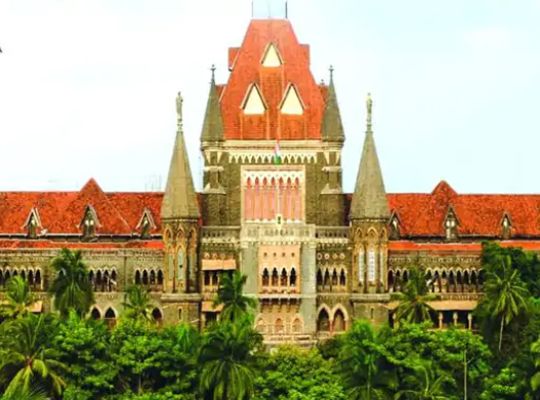 'The police are not servants of the PM or CM' &mdash; Bombay High Court's stern remark; states that opposing the government is not a crime and expressing dissent is every citizen's right in a democracy.