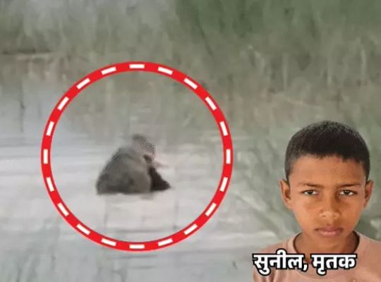 Horrifying incident: A 12-year-old boy fell victim to a crocodile after going to wash his hands and face following paddy transplantation; his body was recovered from the river late at night, sparking panic in the village.