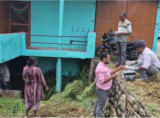 Uttarakhand: Panic among livestock owners in Bageshwar following attacks by wild bees! Five buffaloes dead; farmers seek financial aid.