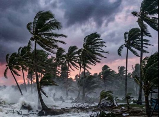 Breaking News: Severe cyclonic storm 'Arnab' hits the coast with wind speeds of 135 km/h! 3 dead, widespread devastation.